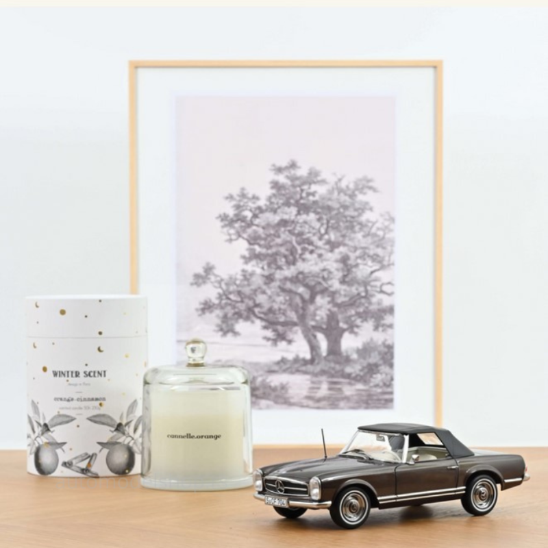 Mercedes-Benz 230 SL (W113) - Bronce Metallic - 1963 – Limited edition 300pcs