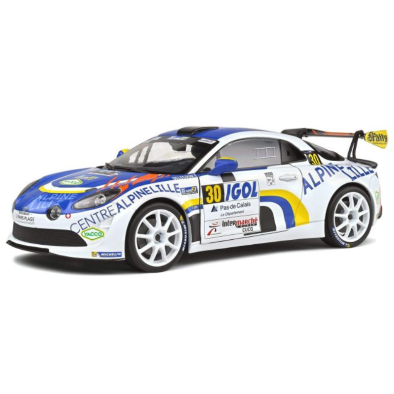 ALPINE A110 RGT - RALLYE DU TOUQUET 2020 - DELECOUR #30