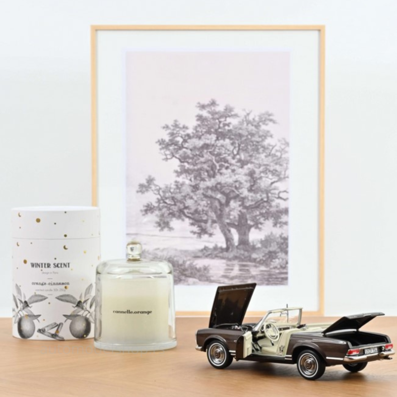 Mercedes-Benz 230 SL (W113) - Bronce Metallic - 1963 – Limited edition 300pcs