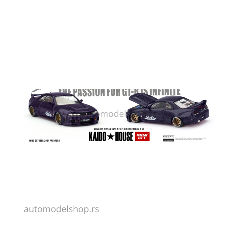 Nissan Skyline GT-R (R33) Active Carbon R V2 1995